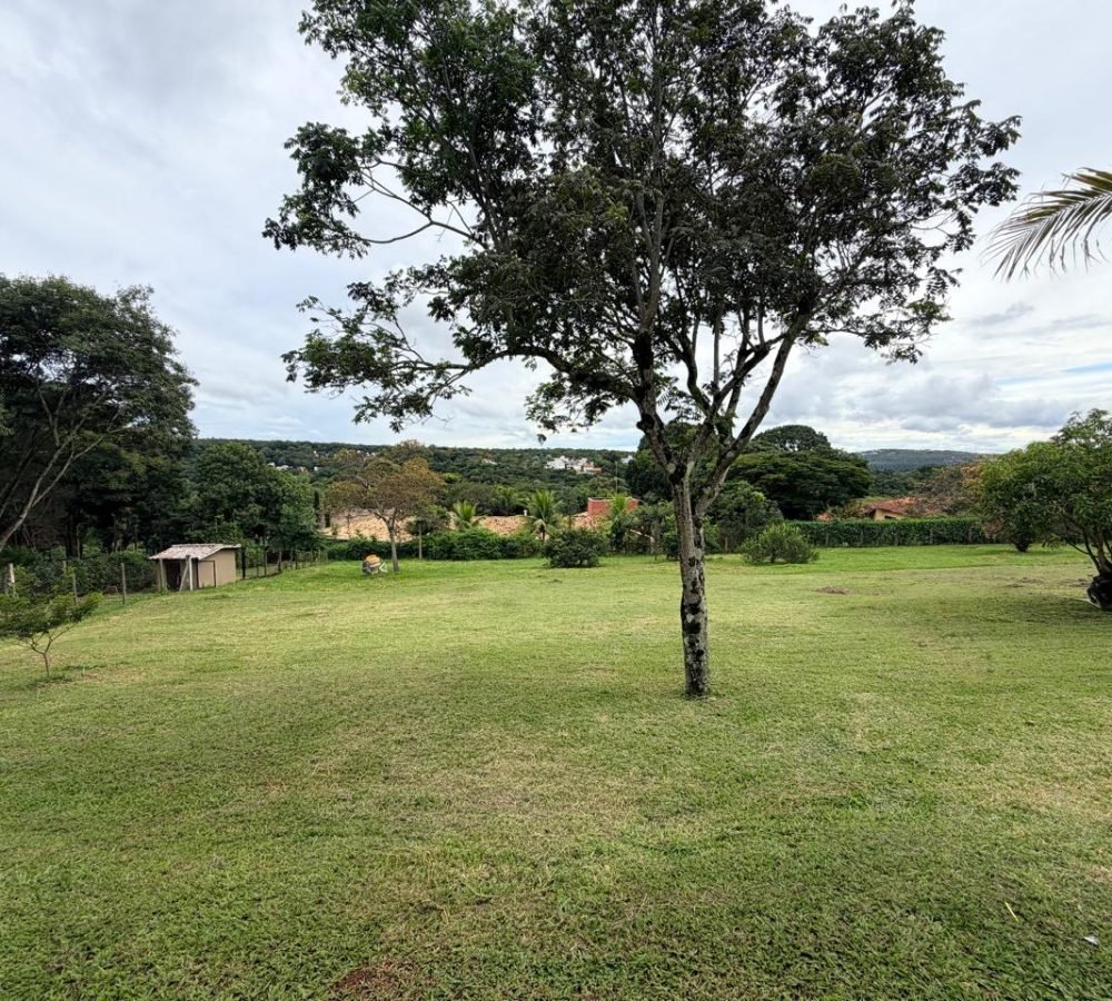 WhatsApp Image 2026-04-01 at 13.43.40 (3)